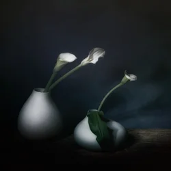 Stimmungsvolle Calla-Blüten