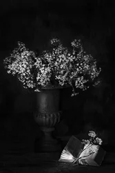 Stimmungsvolles Blumenstillleben