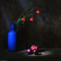 Stimmungsvolle Mohnblumen-Stillleben