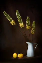 Gelbe Blumen und Zitronen