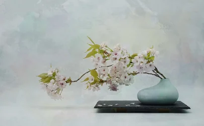 Zen-Blütenstillleben
