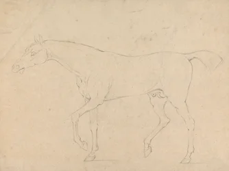 Ein Pferd