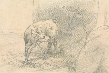 Kalb, mit Kopf einer Kuh