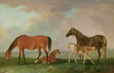 Stuten und Fohlen