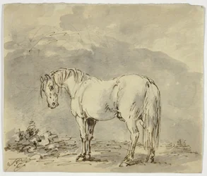 Stehendes Pferd mit gedrehtem Kopf
