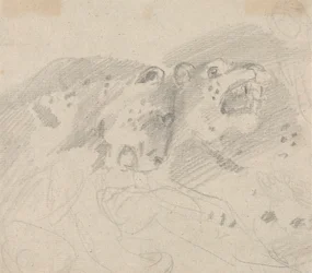 Zwei Leoparden