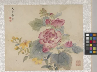 8-Blatt-Album der Blumen, Mitte 1700er