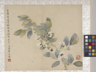 8-Blatt-Album mit Blumen, Mitte 1700er