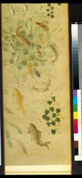 Myriaden von Fischen im Publikum mit Karpfen