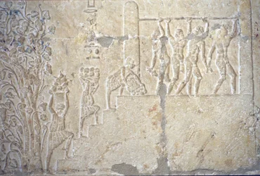 Altes Ägypten, Wandmalerei, Grab des Petosiris, Tuna el Gebel, 300 v. Chr., Weinernte, Weinherstellung, Weinpresse