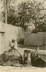 Le Repos du Chamelier, ca. 1890-1914 (s/w Foto)