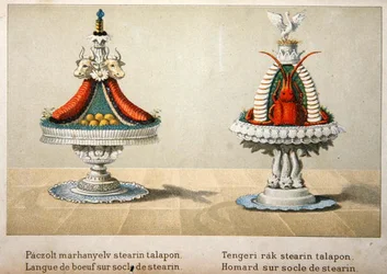Design für die Präsentation von Ochsenzungen auf einem Bett aus Stearin und für Hummer, Illustration aus einem ungarischen Kochbuch über französische Küche, ca. 1880