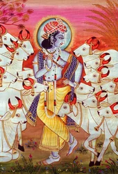 Lord Krishna und Kühe Miniaturmalerei