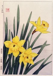 Nahaufnahme von Narzissen - Japanischer Druck