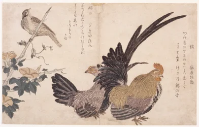 Hahn, Henne und Vogel