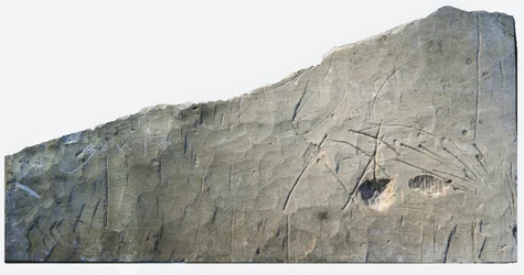 Hebräische Grabinschrift aus Beth Loya, Judäische Hügel, Israel, 6. Jahrhundert v. Chr. (Stein)
