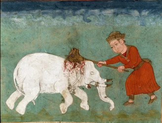 Islamische Kunst: Rostam (oder Rustam) mythischer Held und Sohn von Zal tötet den weißen Elefanten. Persische Miniatur aus einem Manuskript des Epos „Shahnameh“ (Buch der Könige) von Ferdowsi (ca. 940-ca. 1020)