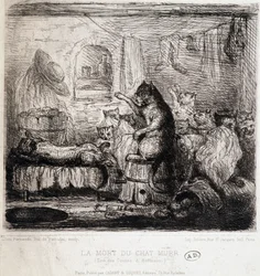 Der Tod der Katze Murr (aus Hoffmanns Erzählungen) - Zeichnung, Portugal
