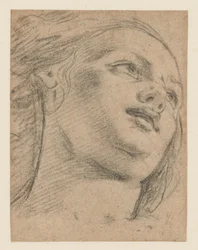 Studie eines weiblichen Kopfes, nach rechts blickend (recto); Studie von zwei Figuren, die einen Gegenstand stützen (verso)