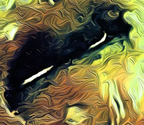 Augen, 2021