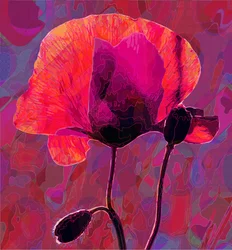 Mohn20, 2020