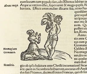 Eine Hexe beschwört einen dreiköpfigen Dämon, aus der Ausgabe von 1550 der 
