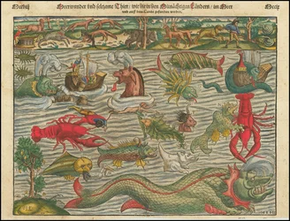 Meerwunder und seltsame Tiere, wie sie in den mitternächtigen Ländern im Meer und auf dem Land gefunden werden