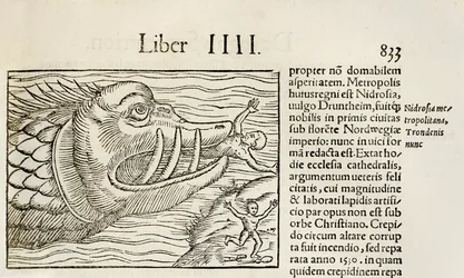 Monströser Wal verschlingt Menschen, aus der Ausgabe von 1550 der 