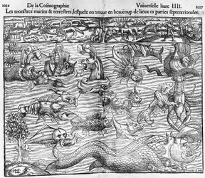 See- und Landmonster, Illustration aus Cosmographia Universalis, von Sebastian Münster (1489-1552)
