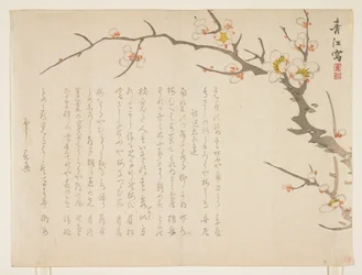 Blühender Pflaumenbaum, Januar 1837
