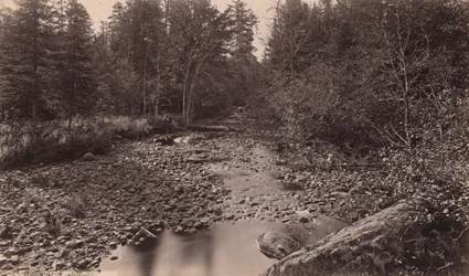 Marion River bei Bassetts Camp