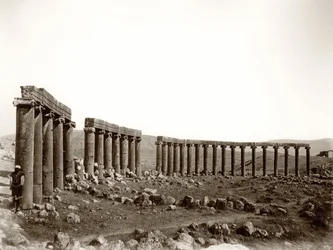 Die ovale Säulenpiazza von Nordwesten, Jerash, 1867