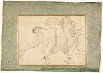 Kamel und Kameltreiber, Illustration auf einer einzelnen Seite, um 1545-1576.
