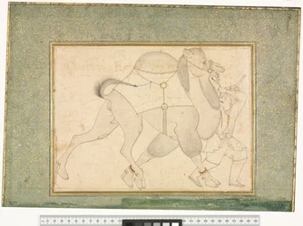 Kamel und Tierpfleger, ca. 1545-76