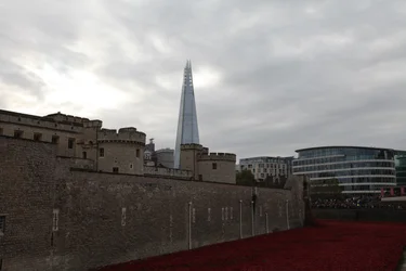 Blood Swept Lands and Seas of Red, Tower of London, 2014