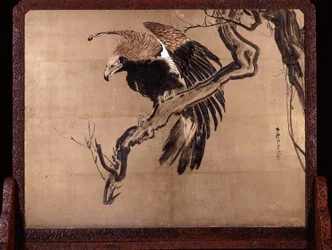 Karpfen in den Wellen (Zeshin) und Adler auf einem Ast (Rückseite von Rosetsu)