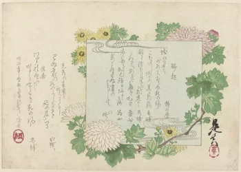Chrysanthemen