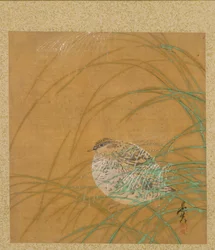 Blatt aus dem Album der saisonalen Themen: Küstenlinie mit Vögeln
