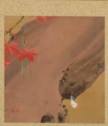 Ahornblätter und Feder aus dem Album der Gemälde des Ehrwürdigen Zeshin