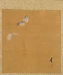 Motten aus dem Album der Gemälde des Ehrwürdigen Zeshin