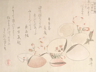 Kirschblüten und Muscheln, 19. Jahrhundert