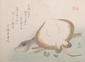 Stachelrochen und Knurrhahn, wahrscheinlich 1815