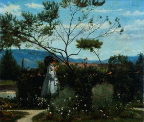 Zwischen den Blumen im Garten