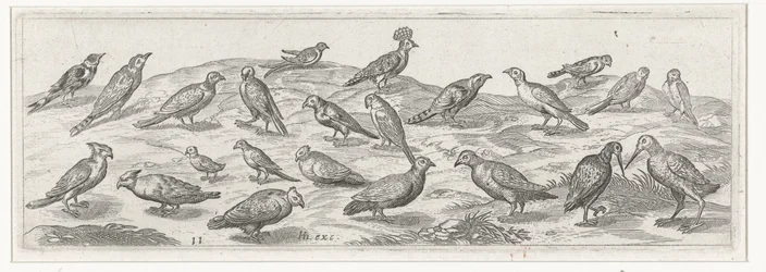 Landschaft mit verschiedenen Vogelarten Vögel und Insekten (Serientitel)