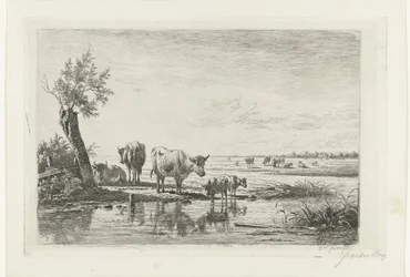 Weidelandschaft mit Kühen am Wasser