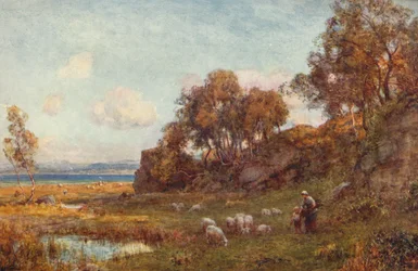 Geschützte Weiden, um 1900
