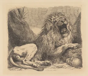 Studie aus der Natur; ein Löwe unter Felsen, brüllend, ein menschlicher Schädel unten rechts
