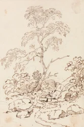 Baum bei Stufen