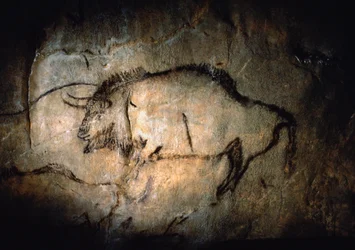 Bison im Salon Noir der Höhle von Niaux