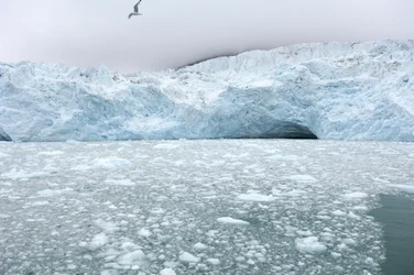 Eisbrocken von nahegelegenen Gletschern treiben im arktischen Meer, Svalbard-Inseln, Norwegen
